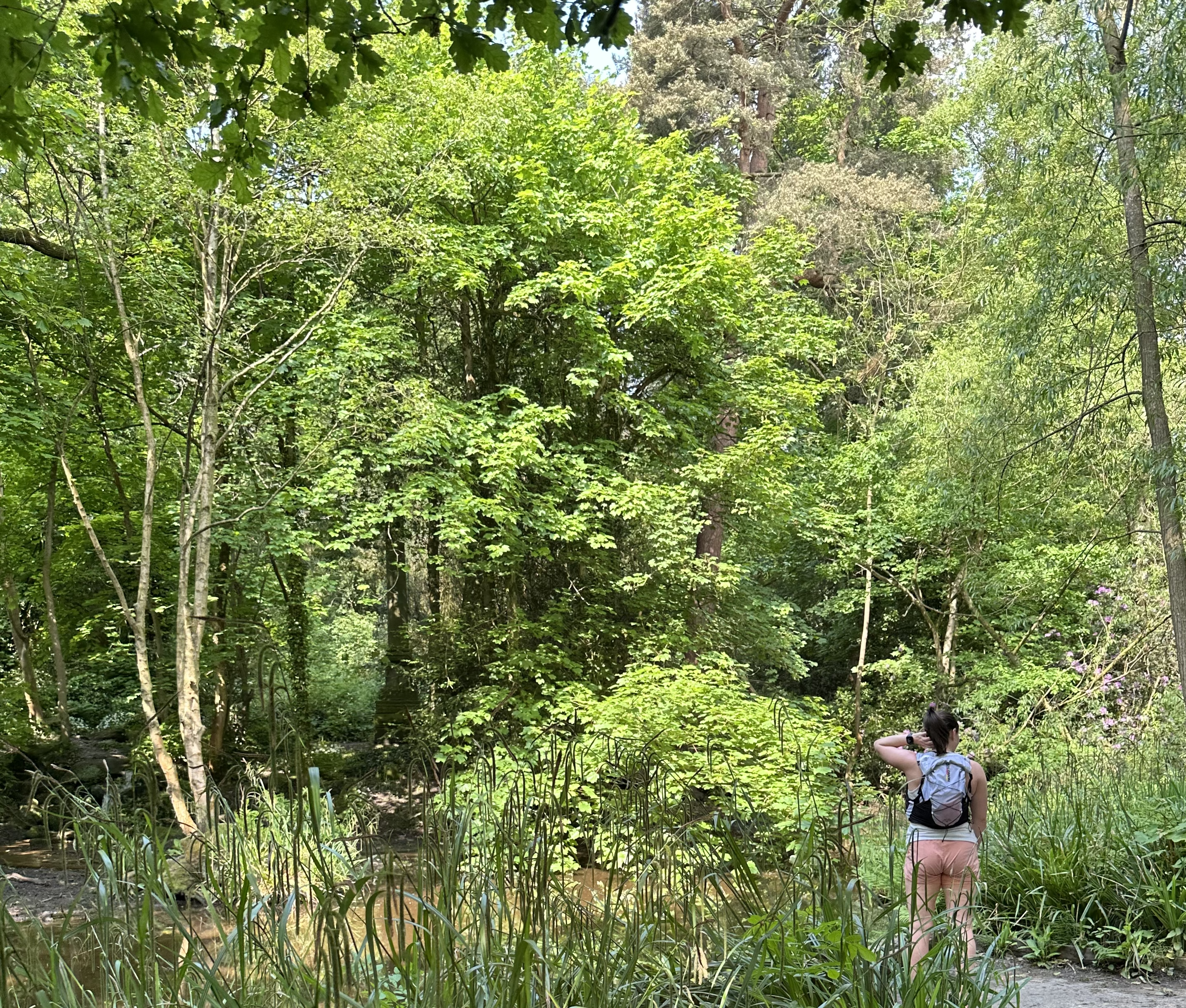 Benefits of green space
